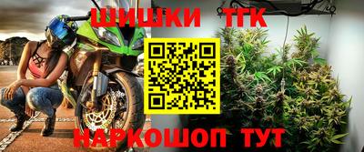 стаф Донской