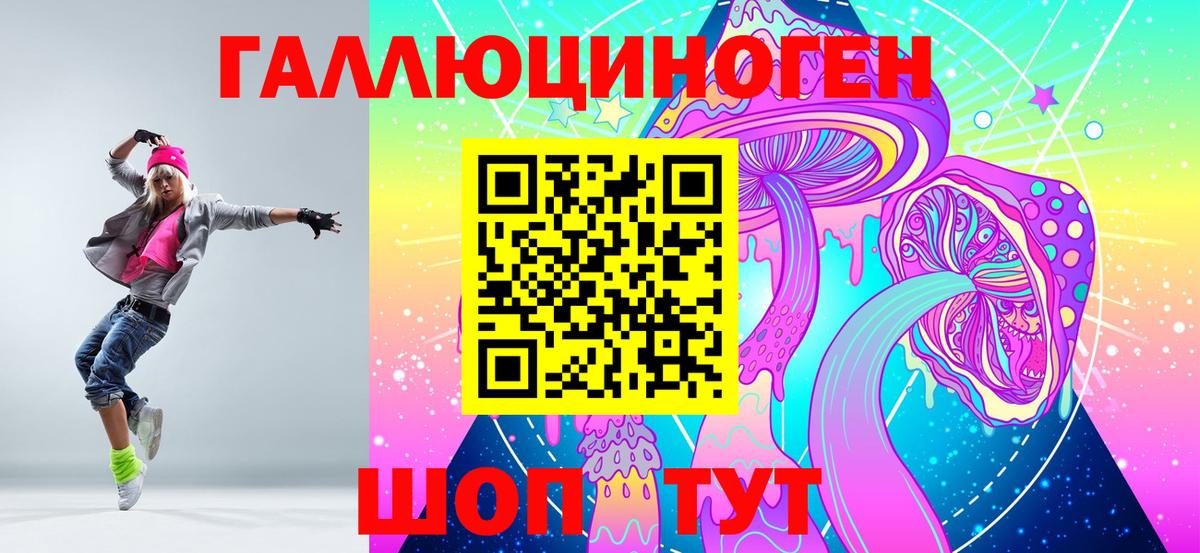 Дюртюли  Галлюциногенные грибы Psilocybine cubensis  Вход с VPN 
